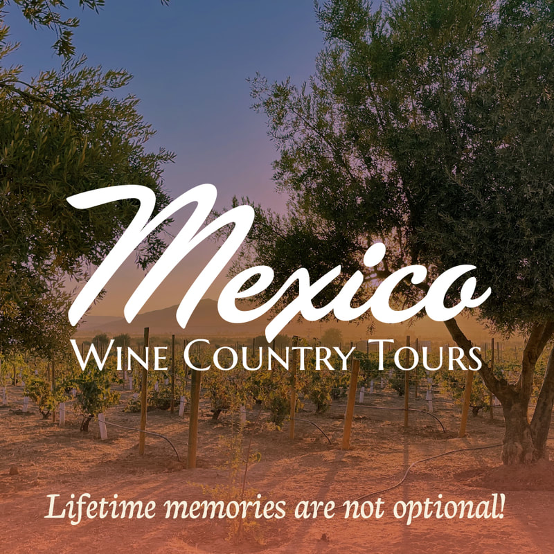 Mexico Wine Country Tours